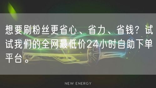 想要刷粉丝更省心、省力、省钱?试试我们的全网最低价24小时自助下单平台。