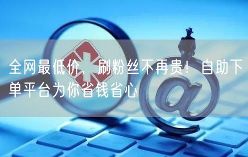 全网最低价,刷粉丝不再贵!自助下单平台为你省钱省心