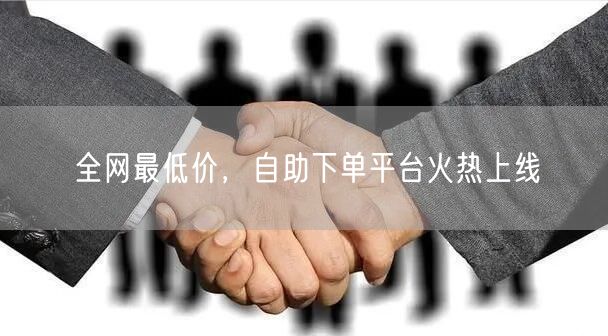 全网最低价,自助下单平台火热上线