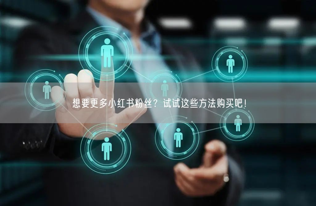想要更多小红书粉丝?试试这些方法购买吧!