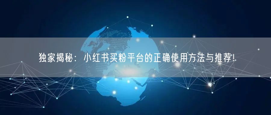 独家揭秘:小红书买粉平台的正确使用方法与推荐!